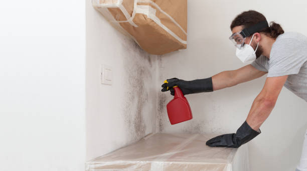 Professional Basement Mold Remediation technician working in Richwood, NJ
