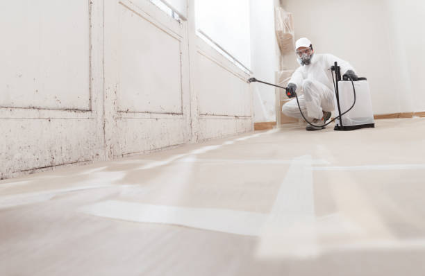24/7 Emergency Basement Mold Remediation experts in Richwood, NJ
