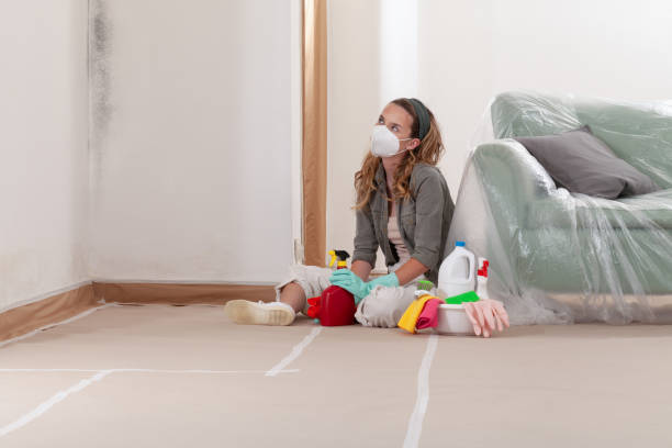 Reliable Basement Mold Remediation contractor in Richwood, NJ by Mold Remediation HQ